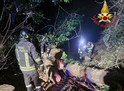 vigili del fuoco vento cadrezzate