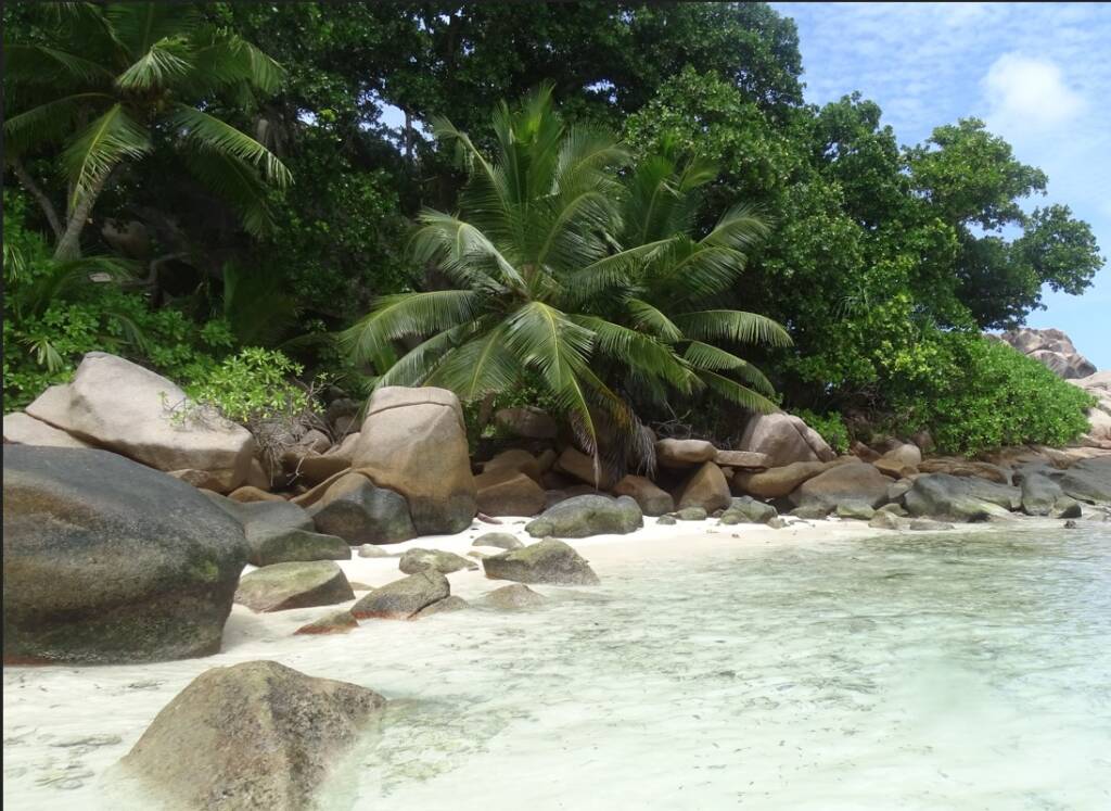 Andrea e Sarah Honeymoon