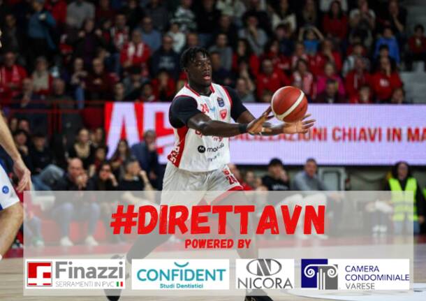 direttavn basket