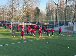 Giuseppe mazzola varese calcio