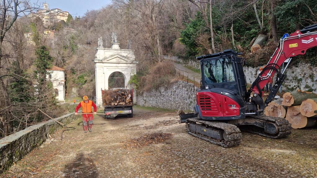 Rimosso l'albero caduto che bloccava la salita al sacro Monte