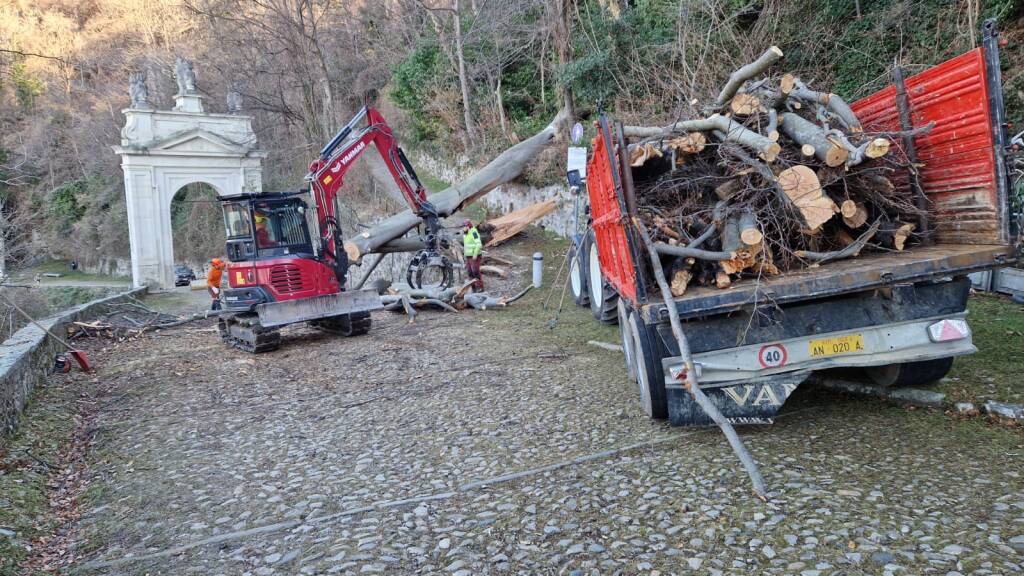 Rimosso l'albero caduto che bloccava la salita al sacro Monte