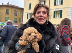 sfilata di cuccioli alla benedizione di sant’Antonio