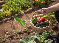 Varese Corsi Agricola