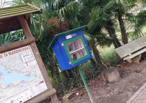 bookcrossing