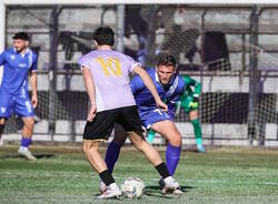calcio lilla