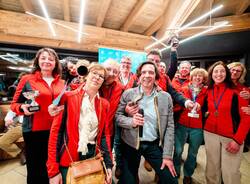 commercialisti busto