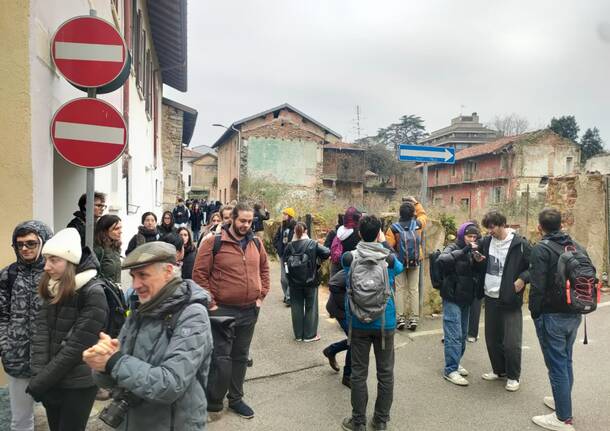 corte bassani studenti politecnico albizzate