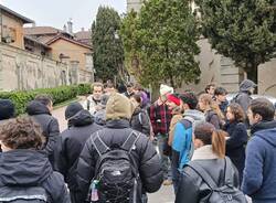 corte bassani studenti politecnico albizzate