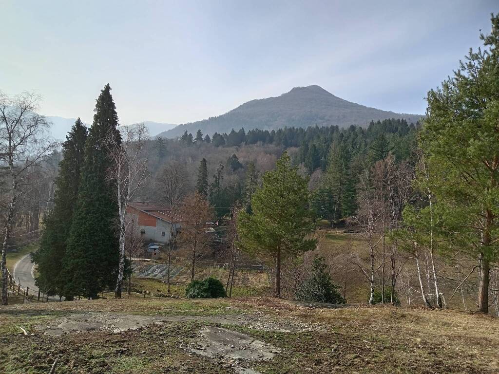 Fattoria Pisciurin, Brissago Valtravaglia