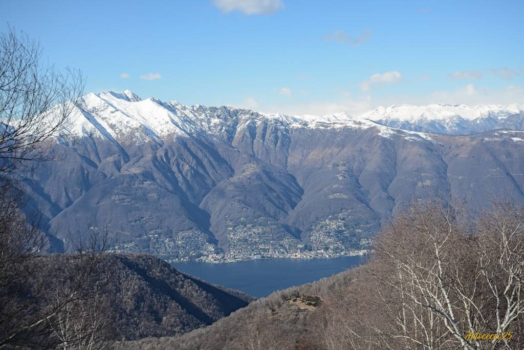 forcora - francesco capoferri