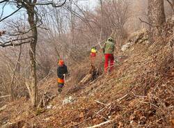 Lavori forestali sul campo dei fiori