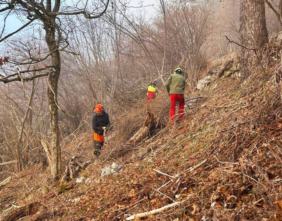 Lavori forestali sul campo dei fiori