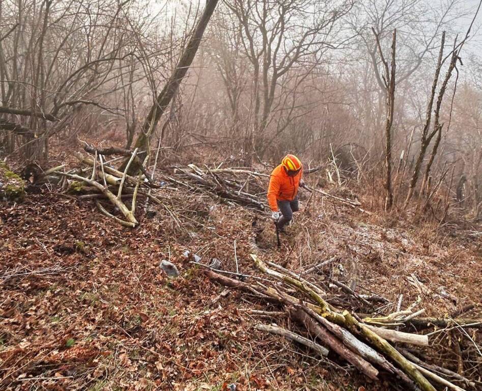 Lavori forestali sul campo dei fiori
