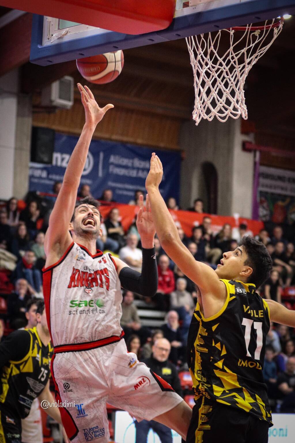Le sfida tra Legnano Basket e Virtus Imola - By Viola Dimi