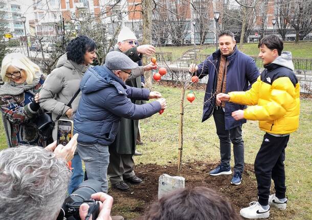 Melograni per la Giornata mondiale contro il cancro infantile