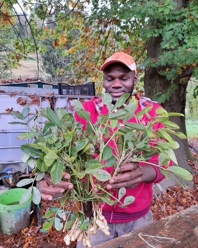 I \"Gas\" di Samarate