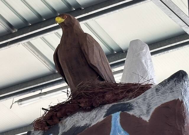 carri di carnevale a castronno 