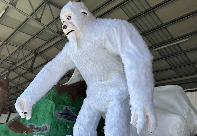 carri di carnevale a castronno 