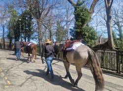 E' partito dal sacro Monte l'equiraduno per il Giubileo