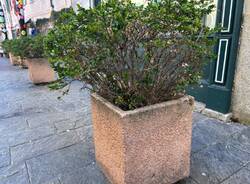 Fioriere in centro varese
