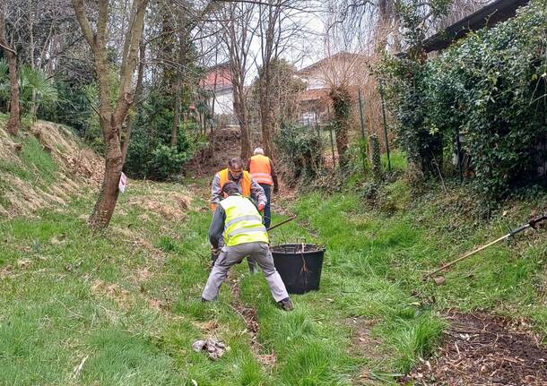I volontari ripuliscono dai rifiuti le strade di Travedona Monate