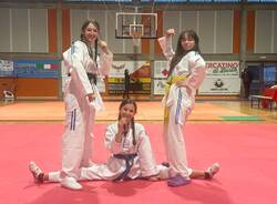 L'Olimpic Taekwondo Valerio Spinosa di Legnano vince il Trofeo di taekwondo Manfredi 2025