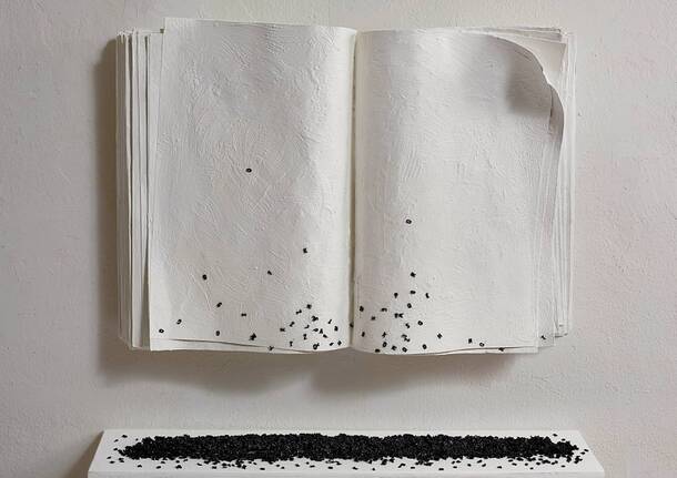 La mostra personale di Lorenzo e Simona Perrone da Punto sull’Arte a Varese