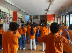 La scuola primaria di Morosolo festeggia il compleanno del Kaki, l'albero della pace