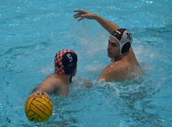 pallanuoto serie c von busto