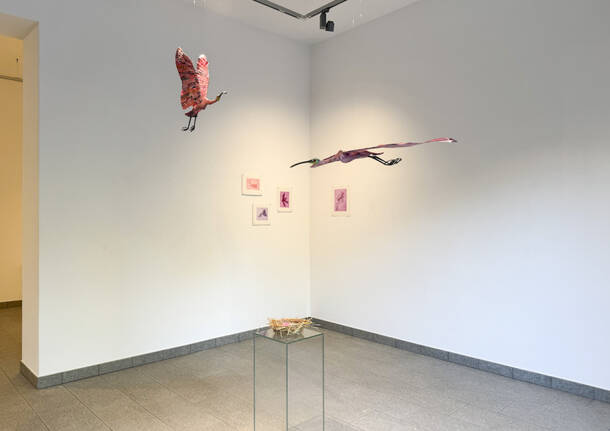 Punto sull'arte, la mostra Pink and Powerful allestita