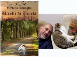 evento pro loco malnate