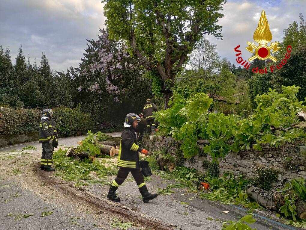 Albero caduto al Sacro Monte, vigili del fuoco in azione