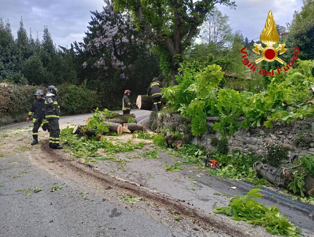 Albero caduto al Sacro Monte, vigili del fuoco in azione
