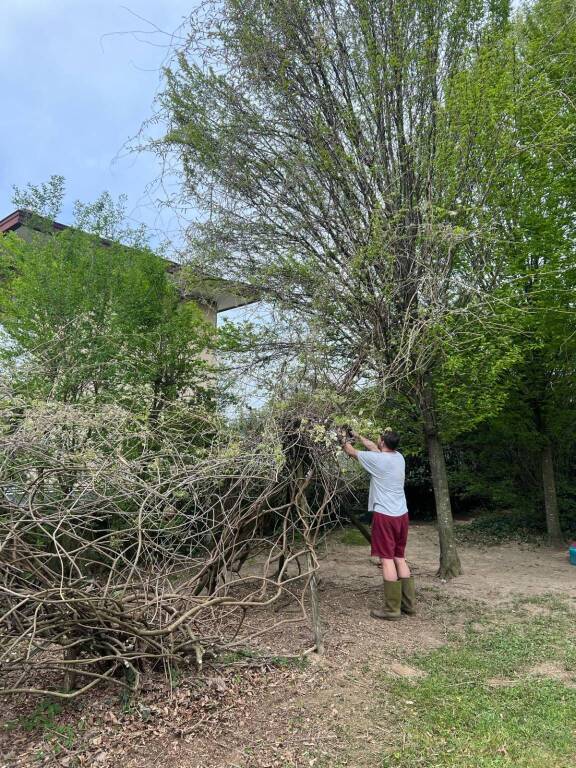 Alla scuola dell'infanzia di Lissago una settimana all'insegna del green e dell'ambiente