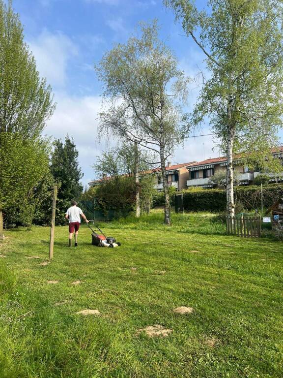 Alla scuola dell'infanzia di Lissago una settimana all'insegna del green e dell'ambiente