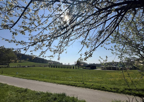 Aprile 2025