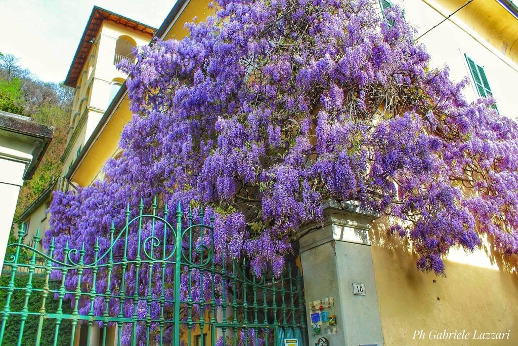 Aprile 2025