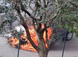 auto in fiamme castronno