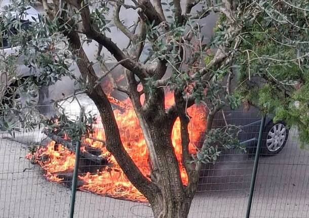 auto in fiamme castronno