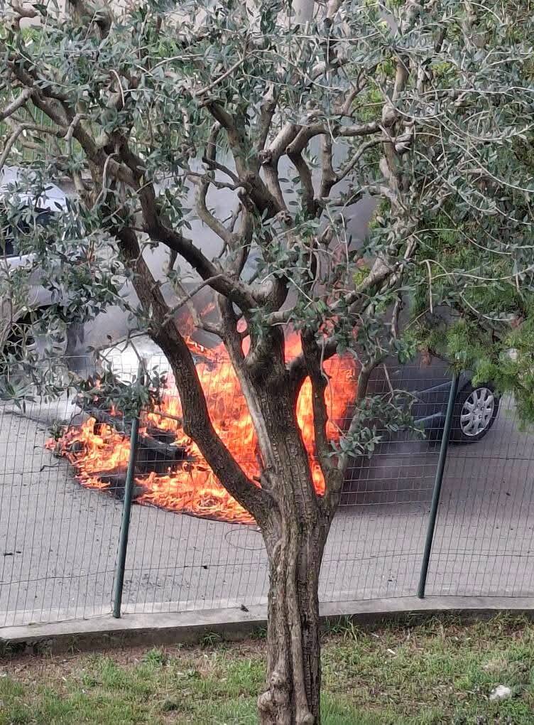 auto in fiamme castronno