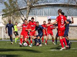 calcio varese chieri
