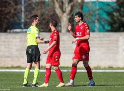 calcio varese chieri