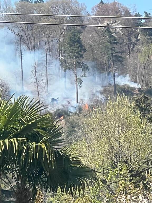 Incendio boschivo al Montallegro, Induno Olona
