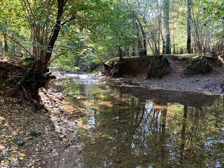 Cislago - Il Plis Bosco del Rugareto