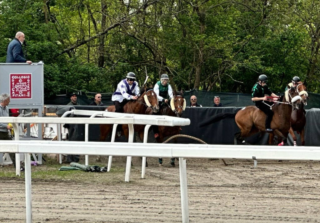 Corse Palio di Legnano - 27 aprile 2025