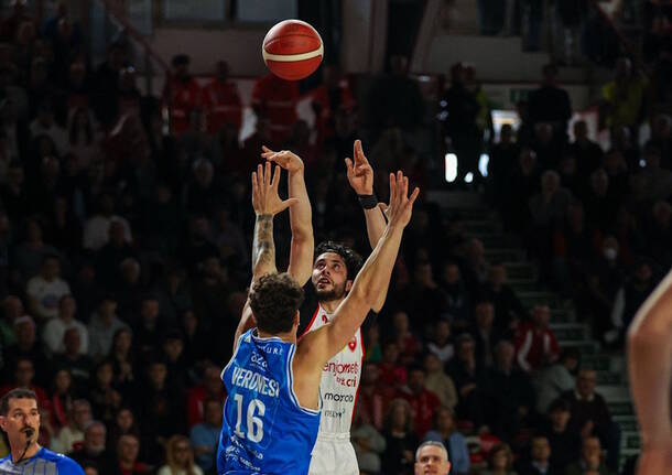 davide alviti