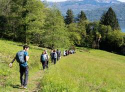 Diario lago maggiore