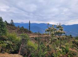 Diario nepalese 2025 - Tredicesima tappa: Dal silenzio delle montagne al traffico di Kathmandu