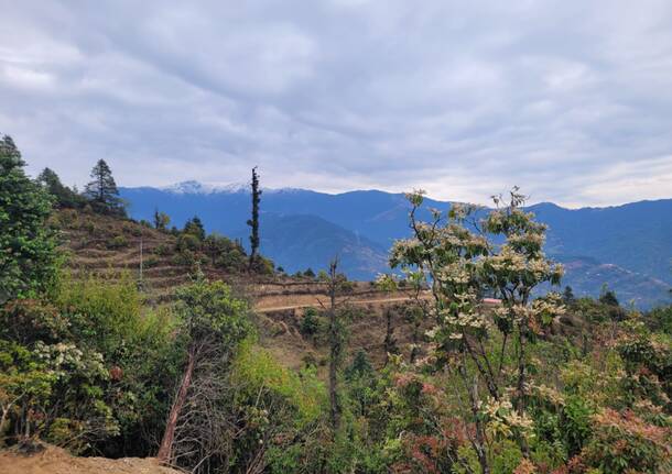Diario nepalese 2025 – Tredicesima tappa: Dal silenzio delle montagne al traffico di Kathmandu